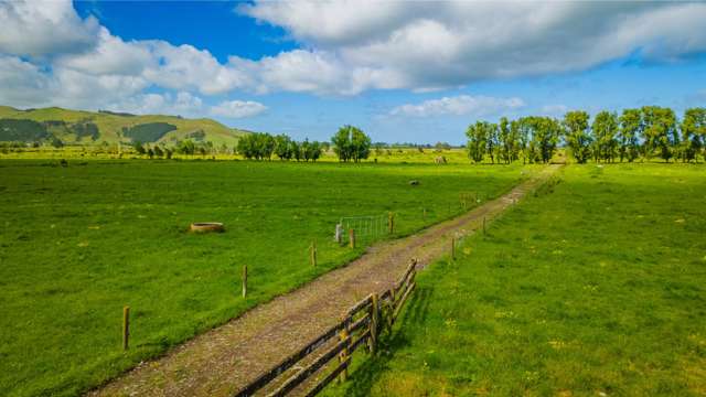 46 approx Ryall Road Paeroa_2