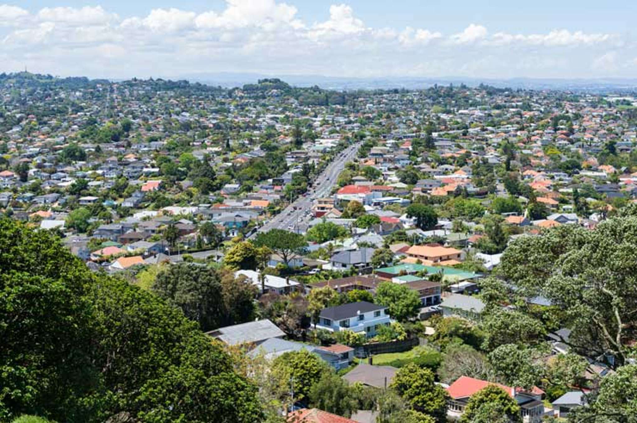 Mt Roskill property values fall $166,000 - who’s next?