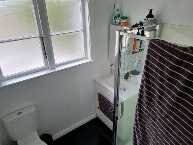 144 Mount Smart Road Onehunga_8