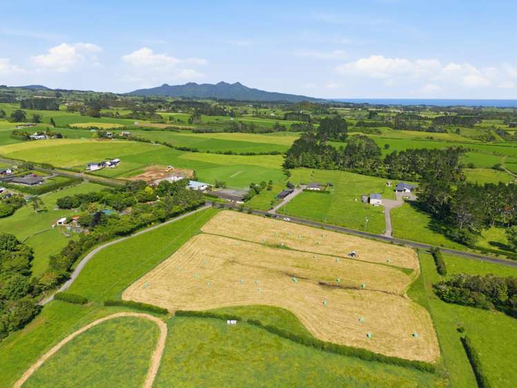 Lot 1 Mangorei Road Mangorei_10