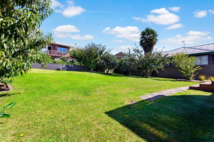 21 Alexander Street Kingsland_24