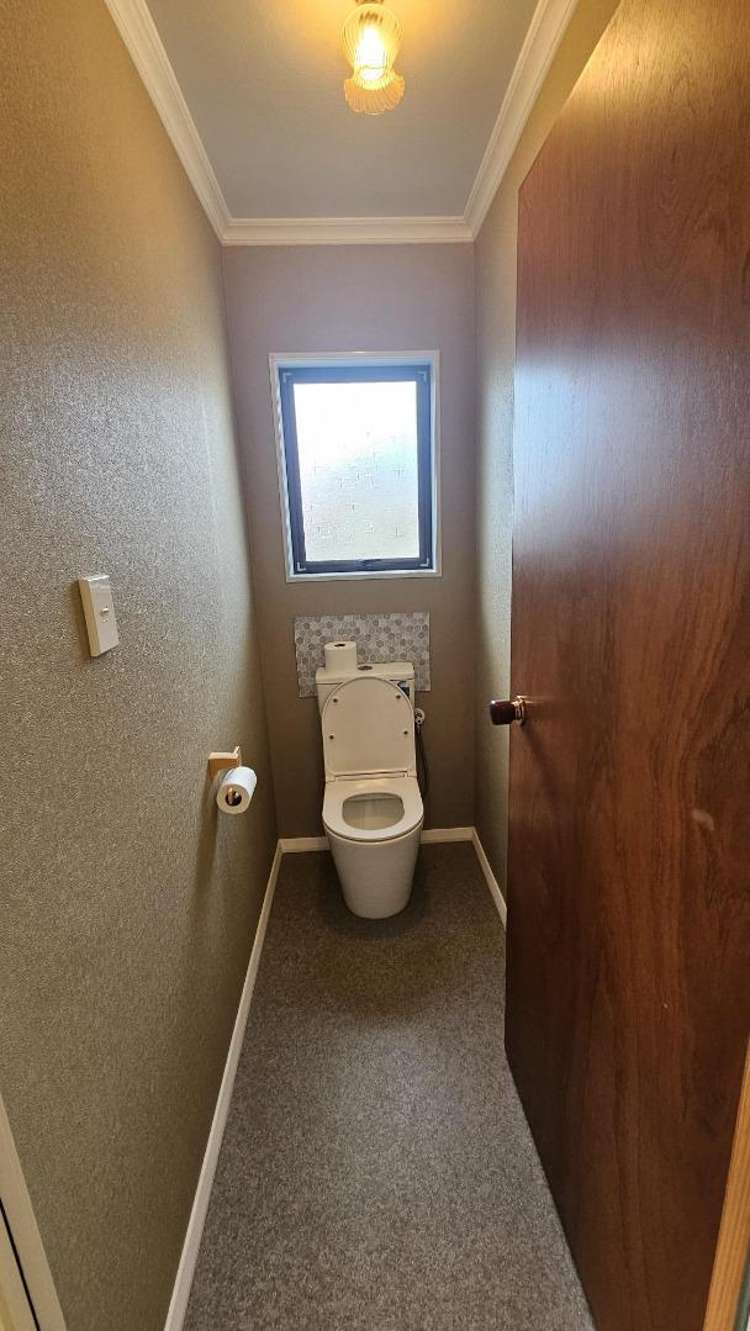 358c Carrington Street Vogeltown_10