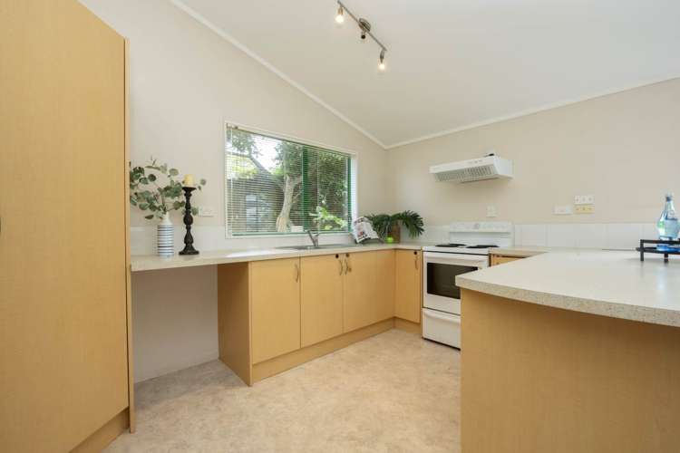 1753a Great North Road Avondale_10