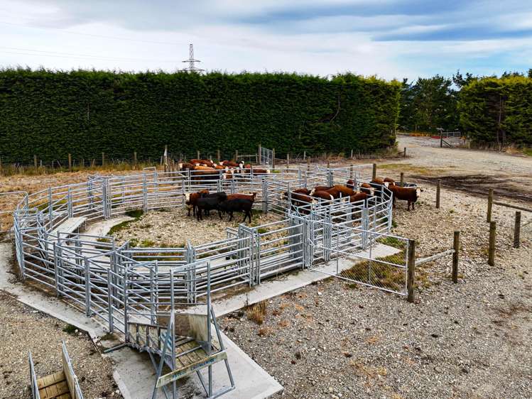 1542 Te Anau Mossburn Highway Te Anau Surrounds_10