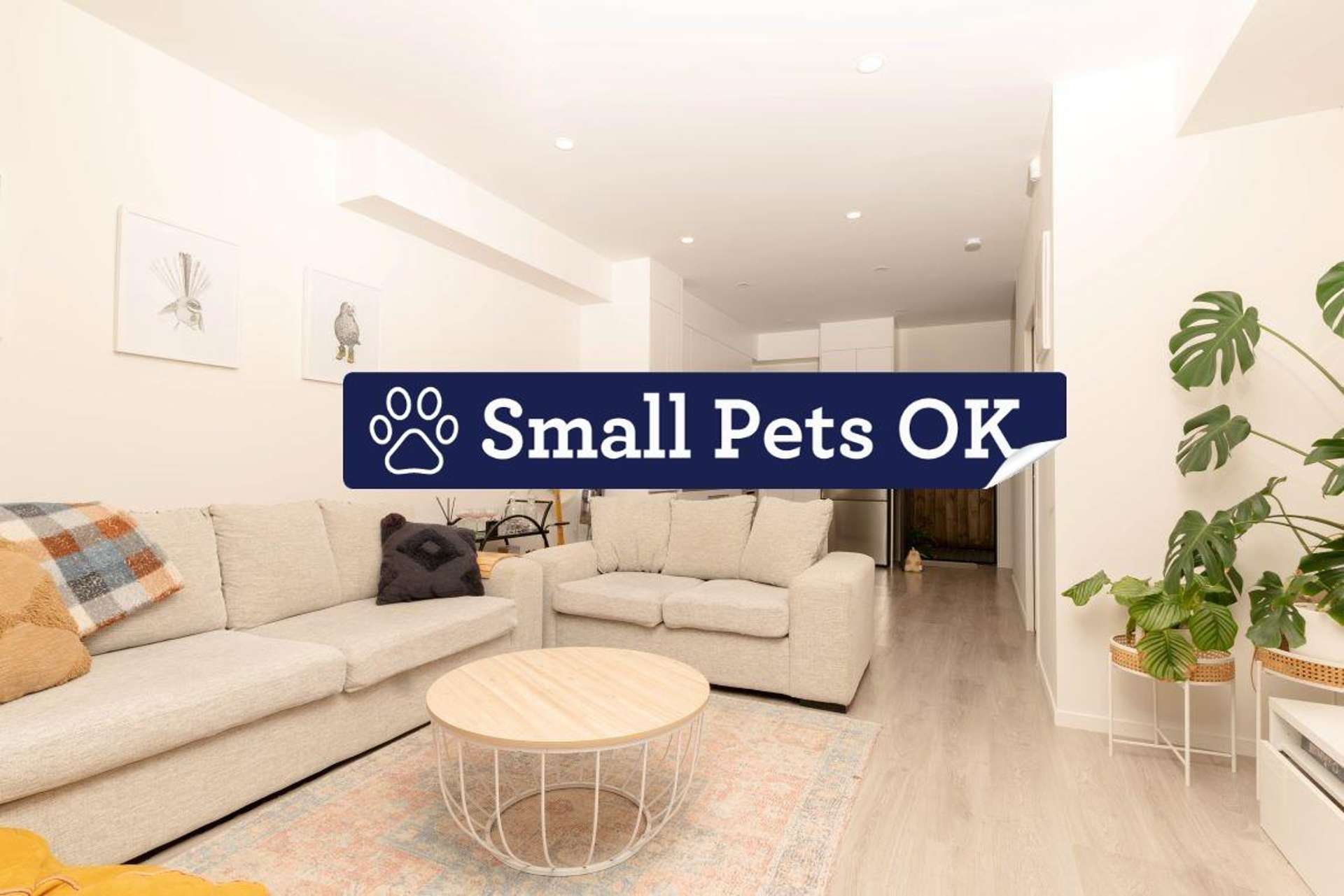 7/24 Boakes Road 1816_0