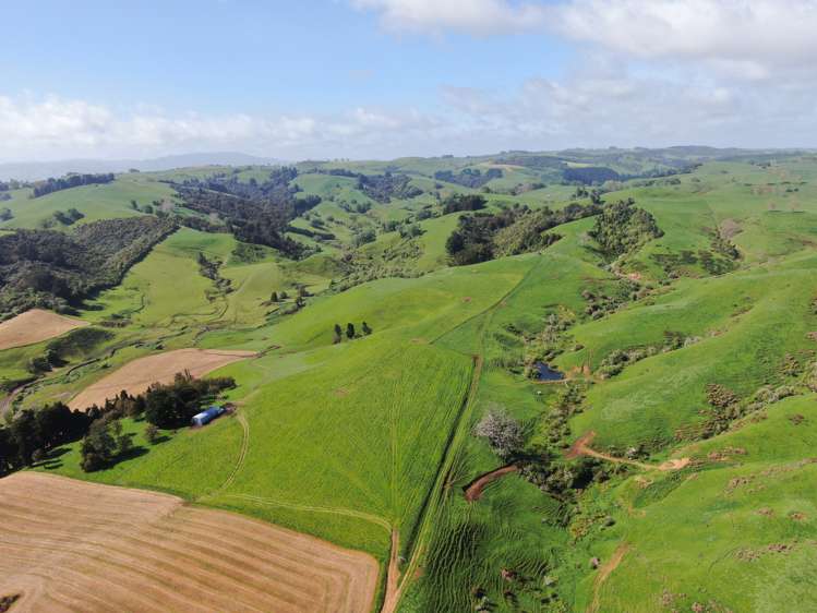 48 Barber Road Otewa_15