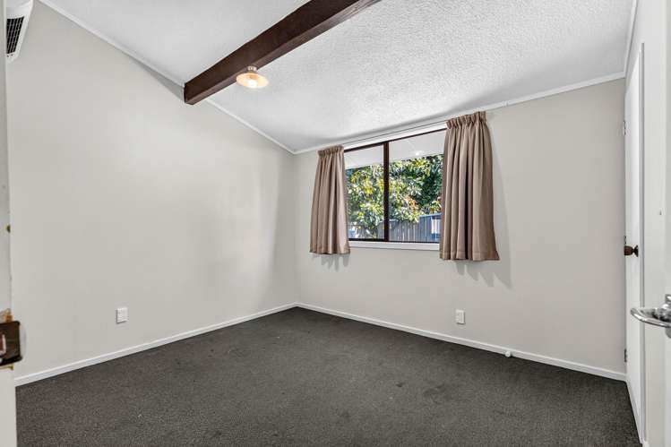 151B Peachgrove Road, Hamilton Hamilton East_6