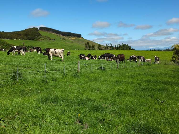 1101+1028 Otautau Tuatapere Road Merrivale_18