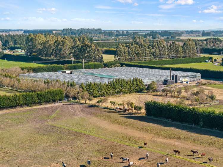 2404 Tram Road West Eyreton_9