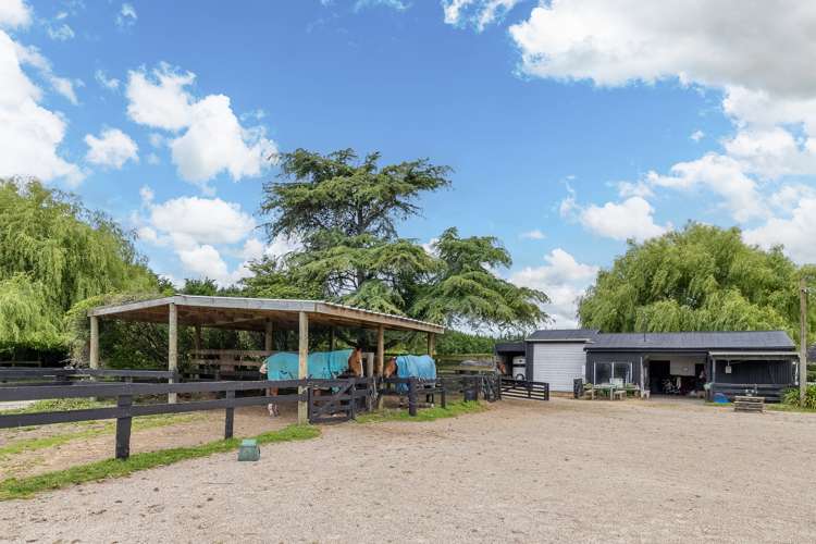 191 Hautapu Road Pukemoremore_20