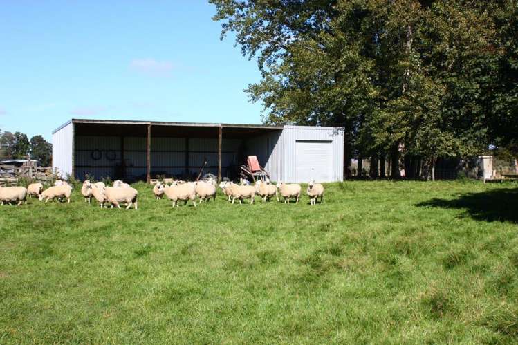 44 Palk Road Orari_13