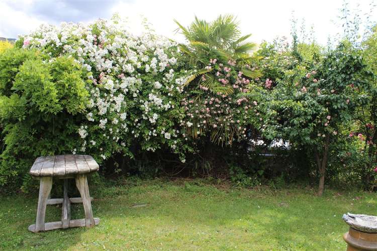 3 Larch Place Wanaka_18