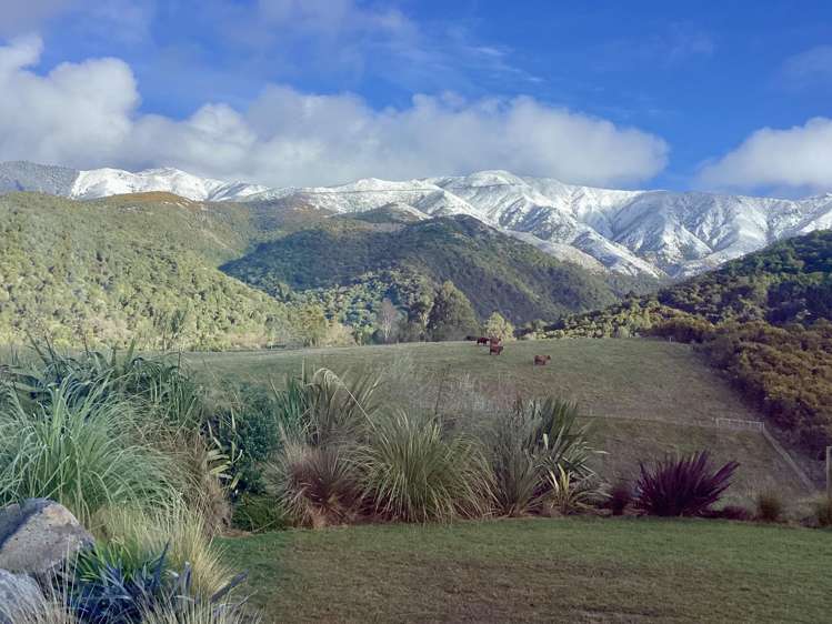 412 Engelbrechts Road Waimate_33