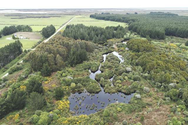 600 Marshall Road Awarua Wetlands_1