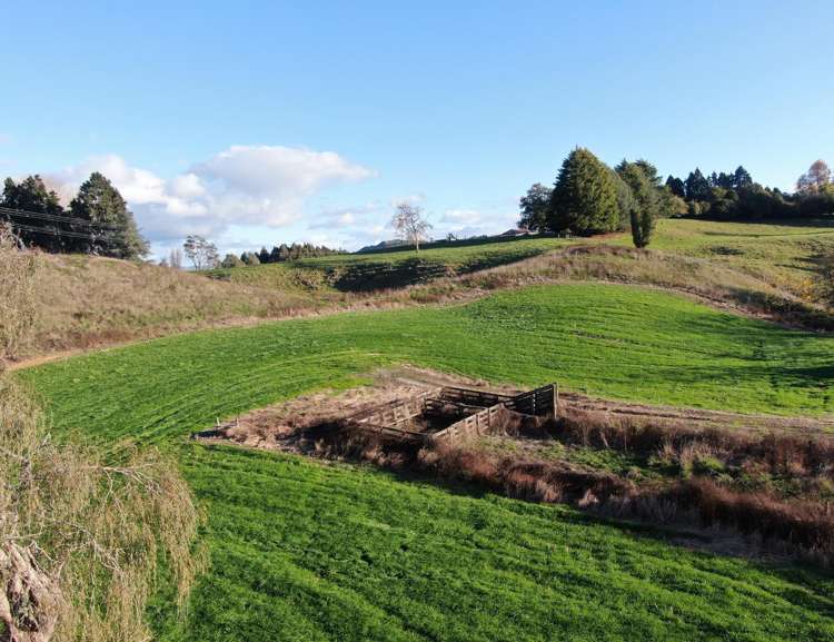 Waitomo Caves Road Waitomo_7