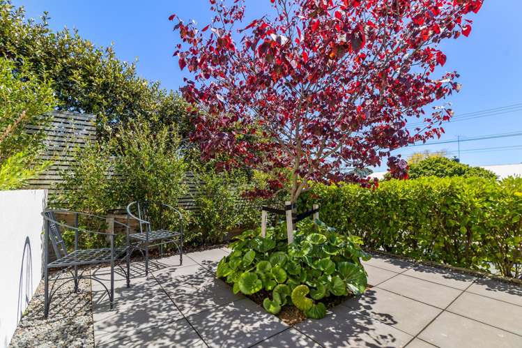 18 Gilbert Street New Plymouth Central_6