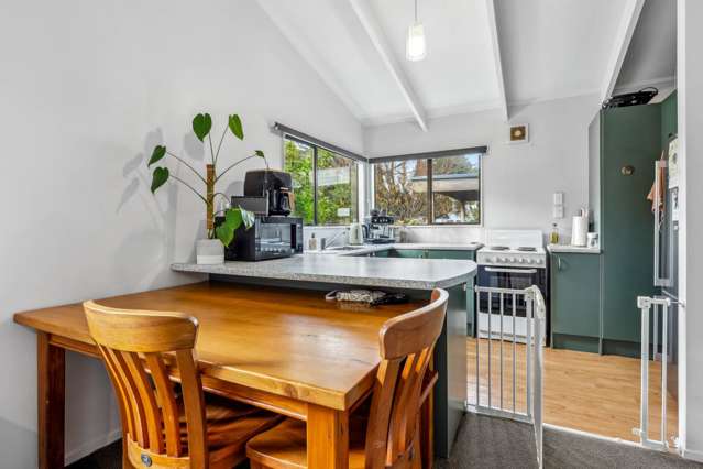 178A Grey Street Onehunga_1