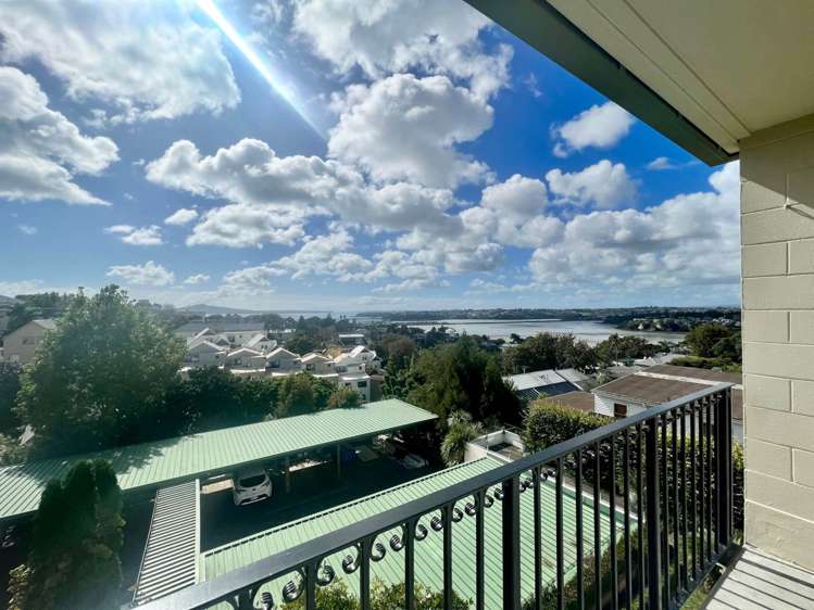 9/10 Brighton Road Parnell_3