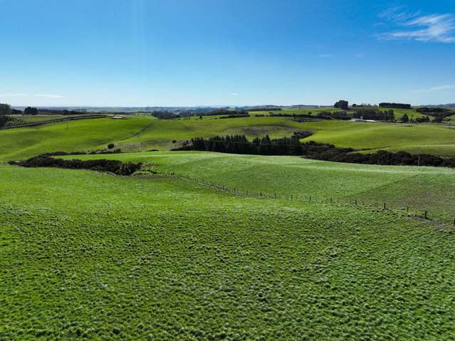 300 Jacks Hill Road Waimahaka_1
