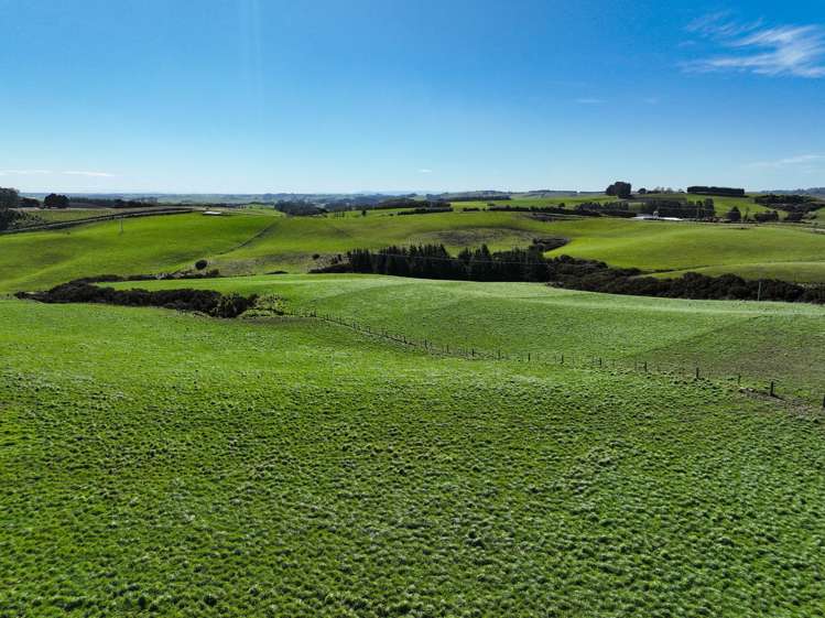 300 Jacks Hill Road Waimahaka_1