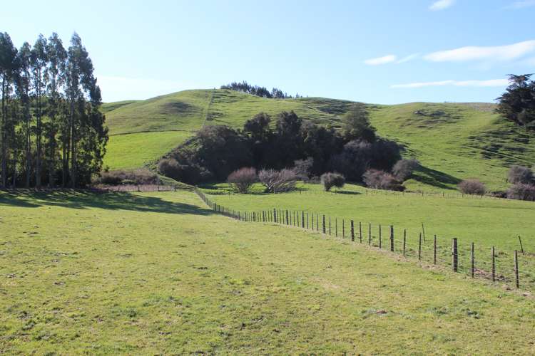 75647 State Highway 2 Norsewood_5