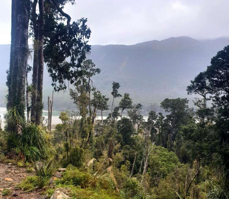 Lot 6 Paringa River Area Bruce Bay_8