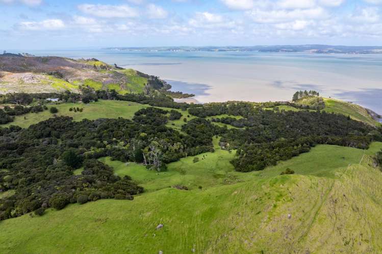 167 Summer Road Tinopai_44