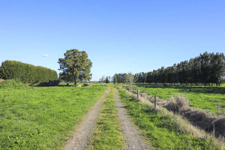 6716 State Highway 2 Hauraki Surrounds_13