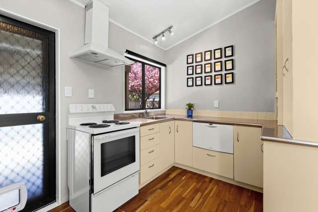 39A Bedford Road Marewa_4