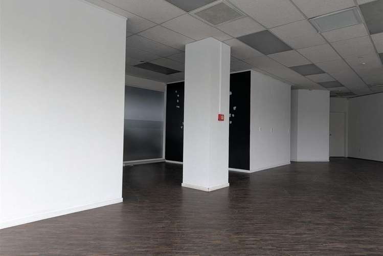 119 Queens Drive Lower Hutt_2