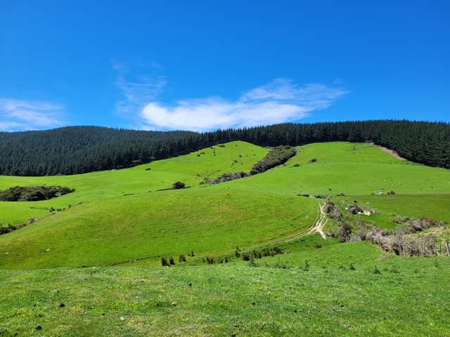 Waihola Highway Waihola_4