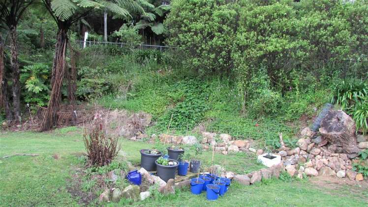 2 Primrose Lane Karangahake_14