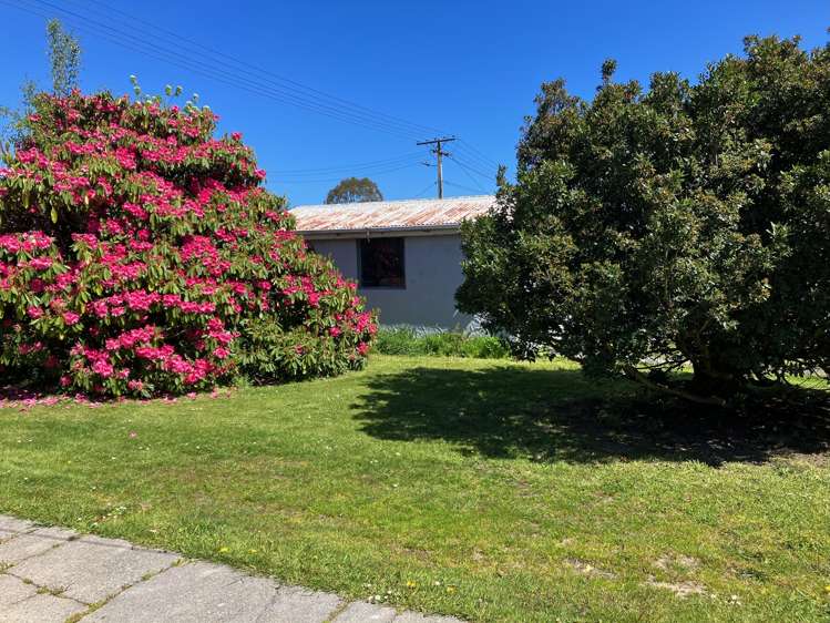 24 Johnson Street Milton_26