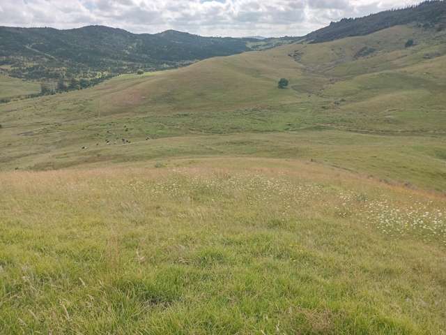 Lot 1-3/36 Te Moho Road Taipa_4