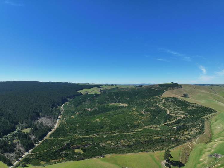 Waitahuna Gully Road Waitahuna Gully_8