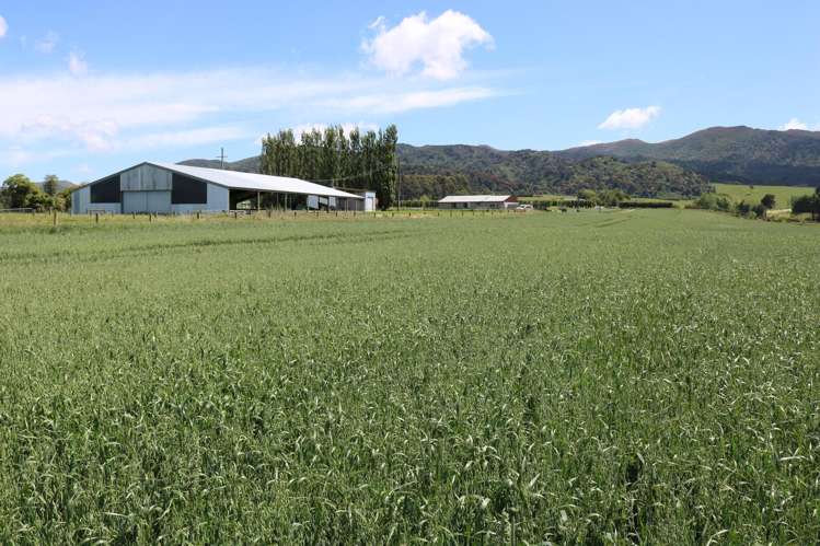 583 Reaby Road Gore_25