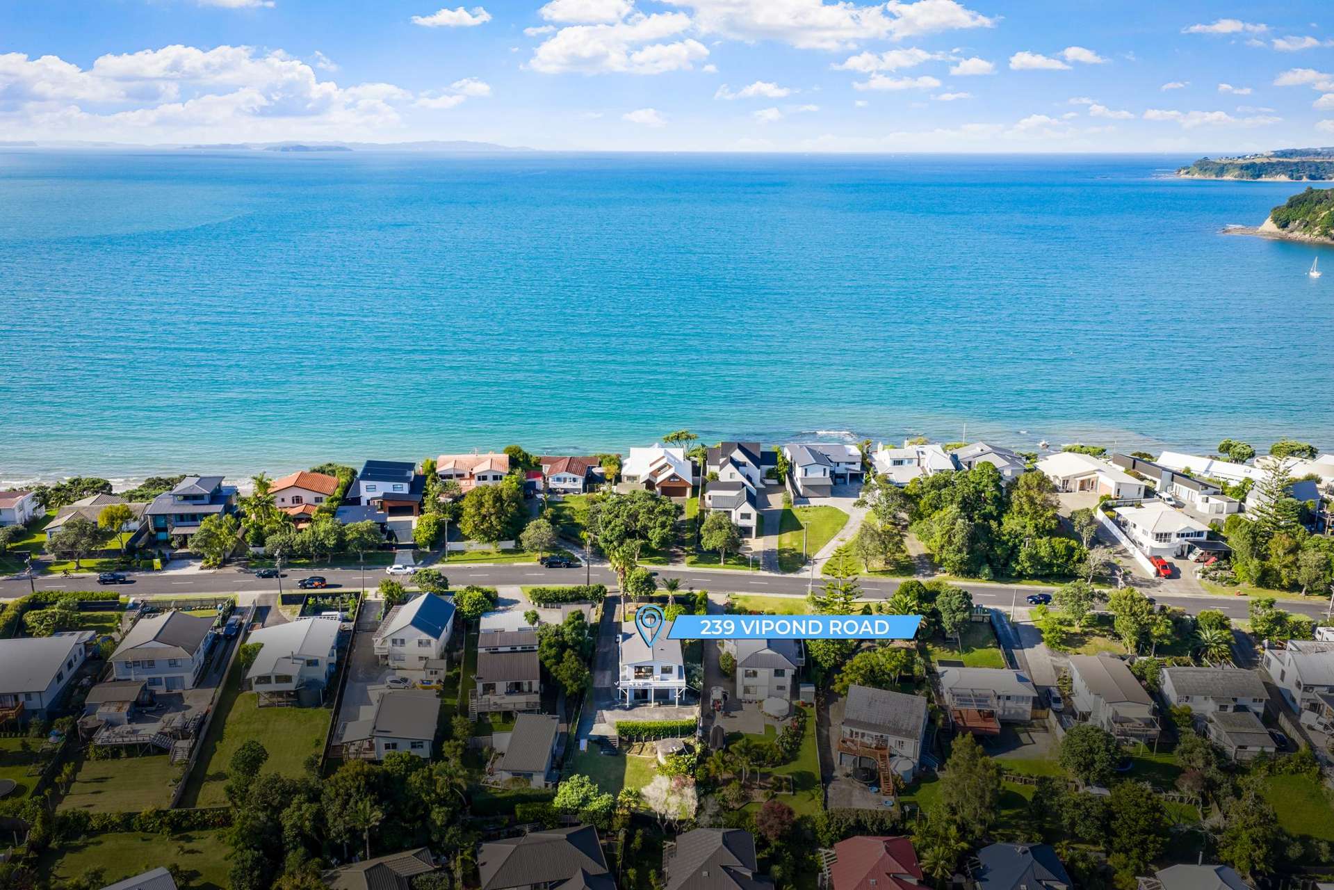 239 Vipond Road Stanmore Bay_0