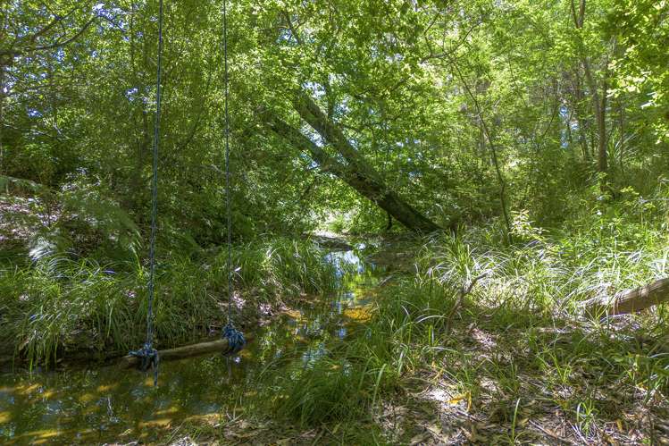 556 Kairakau Road Elsthorpe_6