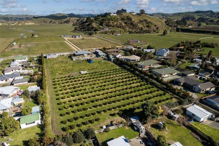 9 Buchanan Street Bay View_20