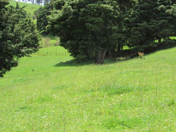 5573 State Highway 12 Kaikohe_11