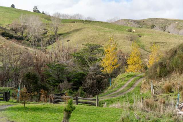 579 Jacksons Line Mauriceville_2