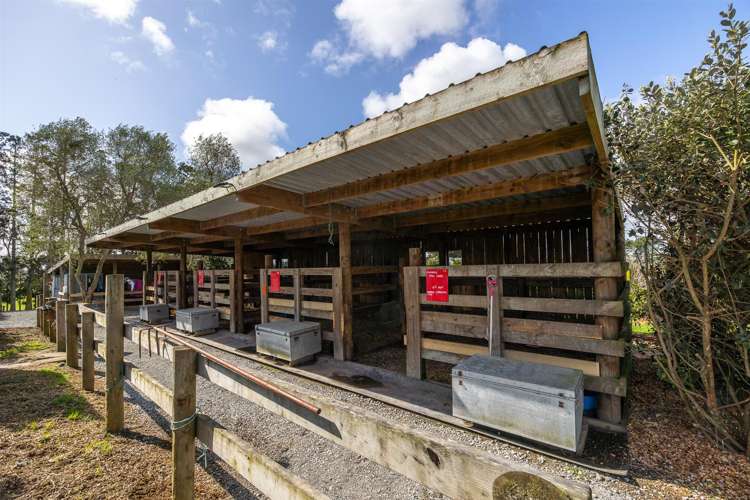 124 Rimmer Road Helensville_36