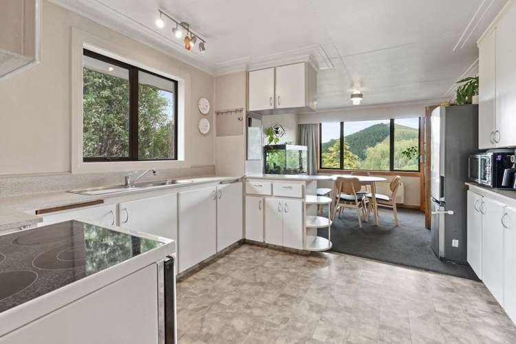 15 Bryant Street Kenmure_1