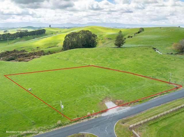 Waterworks Road Morrinsville_1