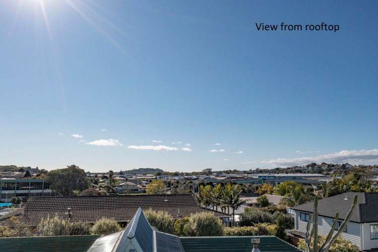 47 Littlejohn Street Hillsborough_14