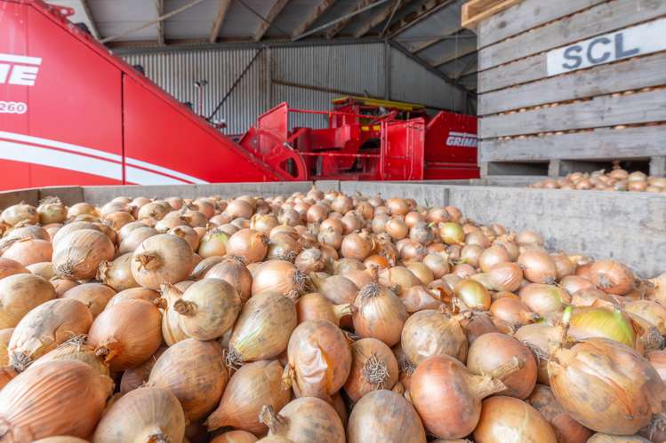 2915 West Coast Road Darfield_15