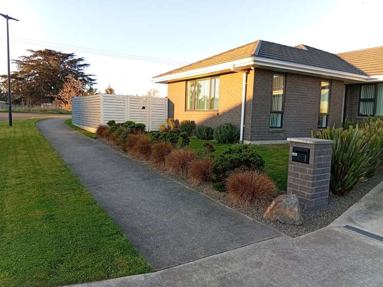 1 Monarch Drive Ashhurst_20