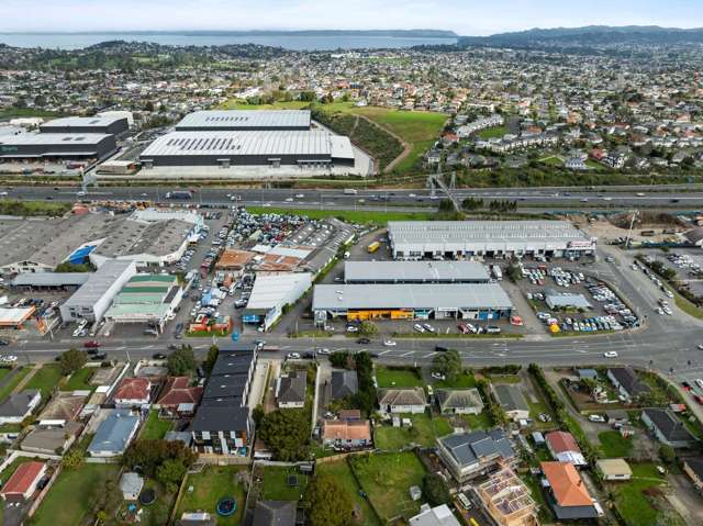 3/127 Stoddard Road Mount Roskill_3