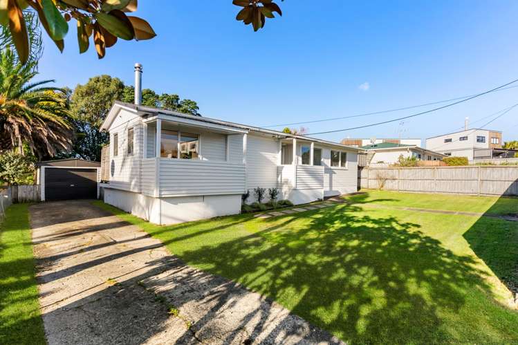 251 Rangatira Road_0