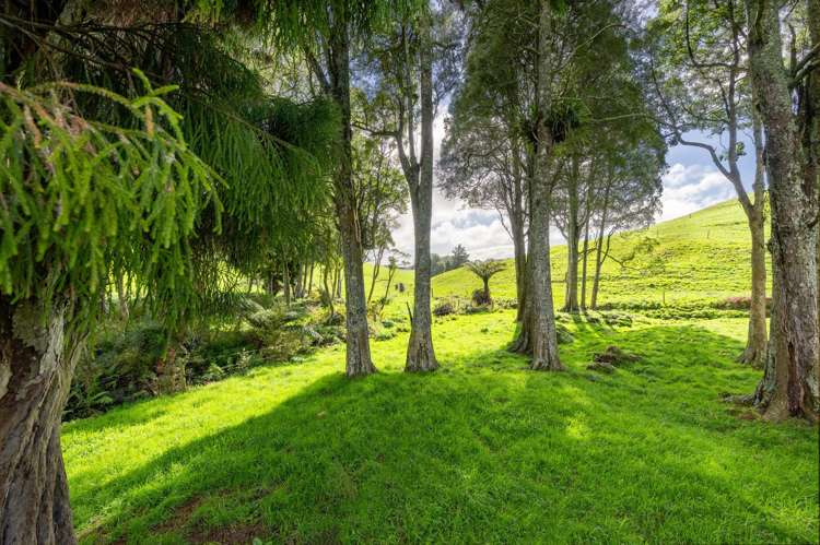 554 Maungatawhiri Road (bare block) Raglan_7